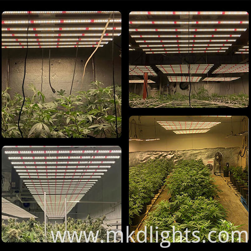 Grow Lights 100w